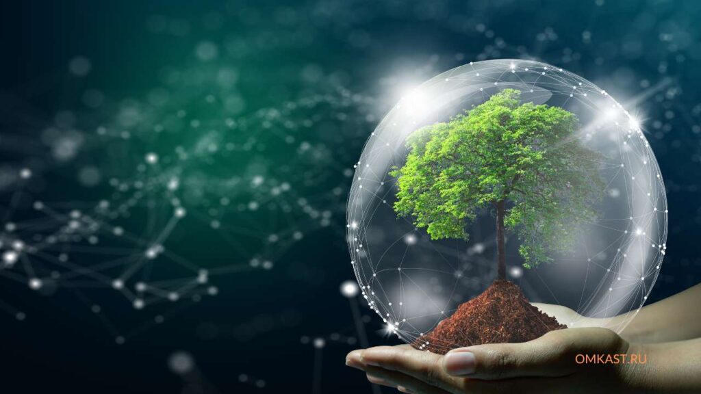 Этические аспекты шаманизма